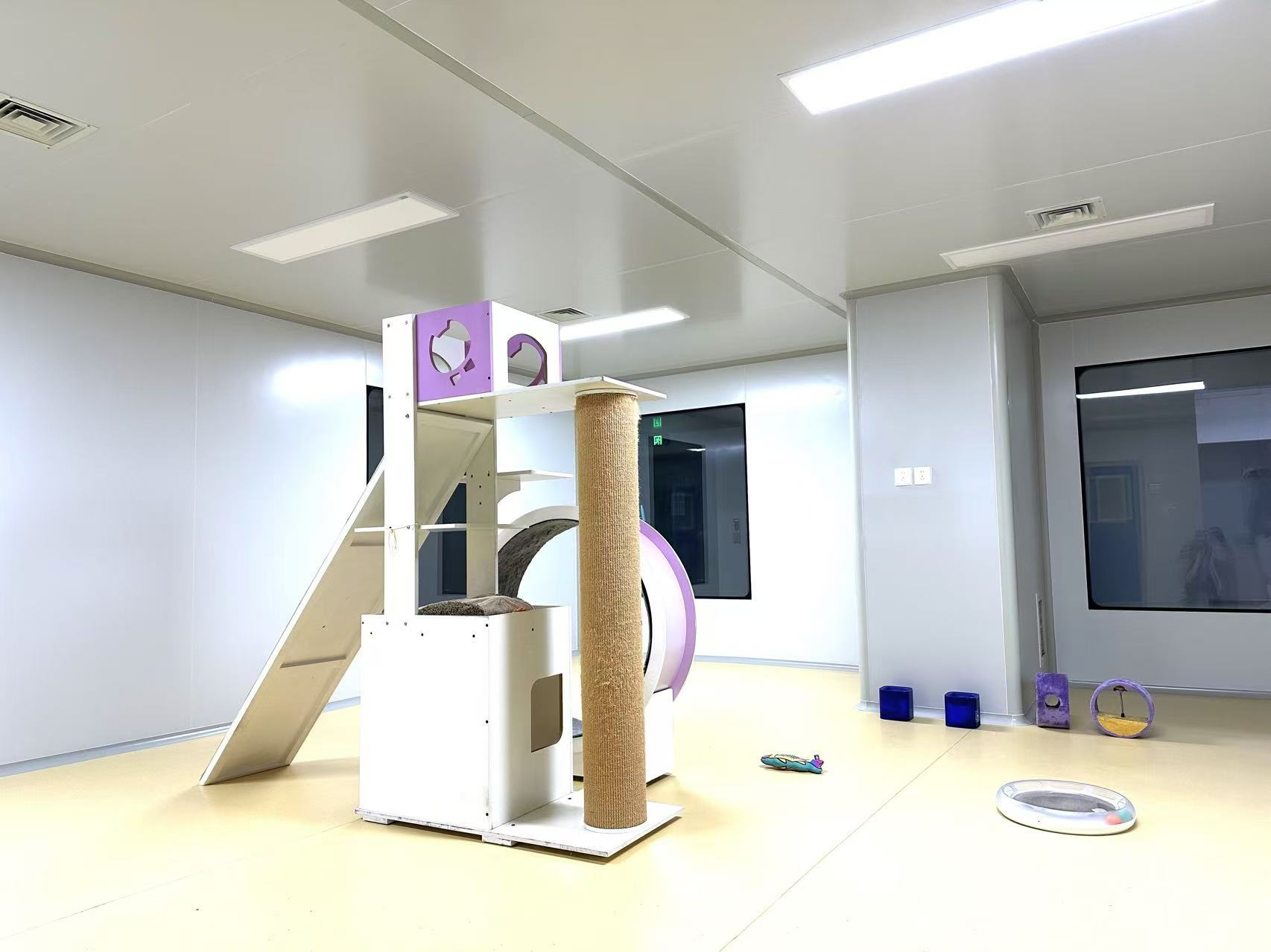 实验动物生产1.png