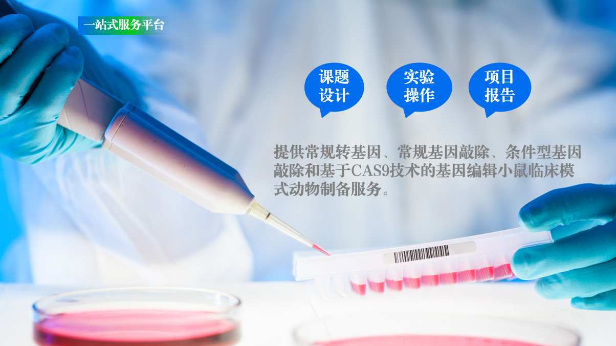一站式服务平台.png