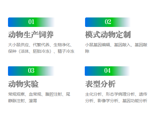 一站式服务平台2.png