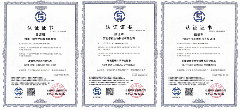 6e34d10bcd51b2b6e85d49b6168f965.png