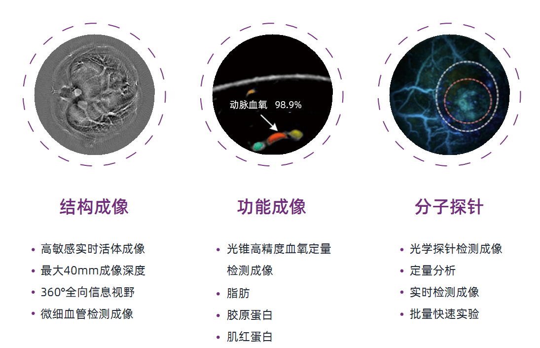 图片17.png